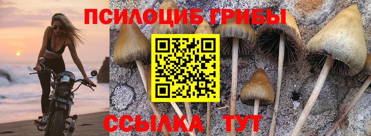 Галлюциногенные грибы мухоморы Чусовой