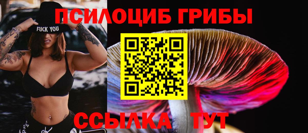 наркота  Галлюциногенные грибы Psilocybine cubensis  Вход с VPN  Чусовой 